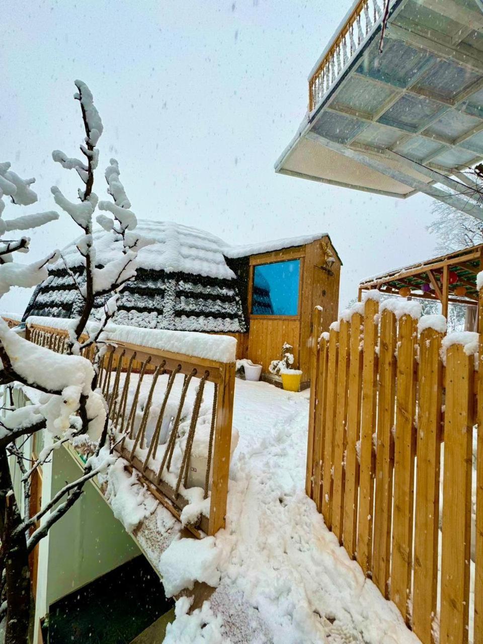 Infinity Sky Glamps Otel Manāli Dış mekan fotoğraf